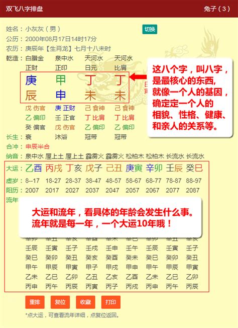 八字排盤教學|八字新手教學 